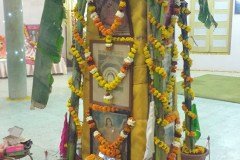 Dol_Poornima-3