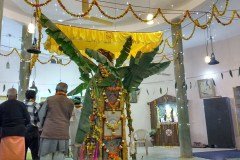 Dol_Poornima-9